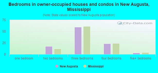 Bedrooms in owner-occupied houses and condos in New Augusta, Mississippi