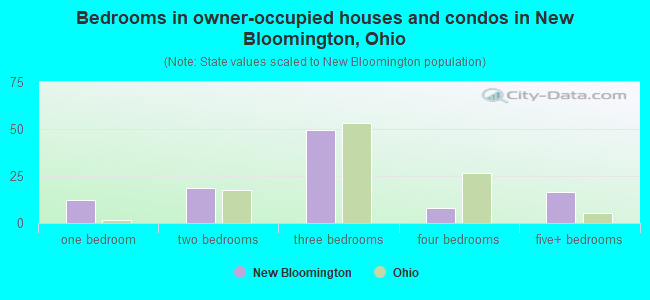 Bedrooms in owner-occupied houses and condos in New Bloomington, Ohio