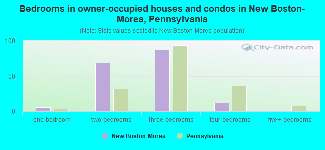 Bedrooms in owner-occupied houses and condos in New Boston-Morea, Pennsylvania