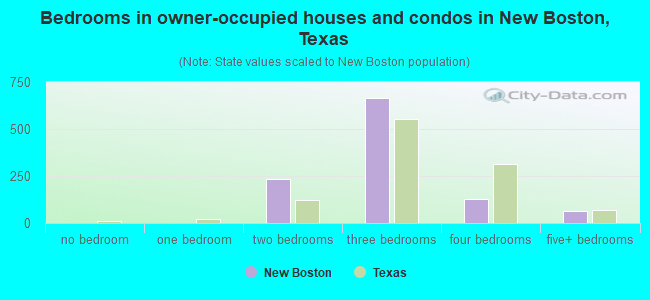 Bedrooms in owner-occupied houses and condos in New Boston, Texas