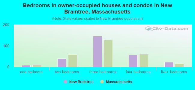 Bedrooms in owner-occupied houses and condos in New Braintree, Massachusetts