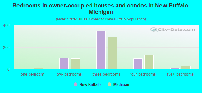 Bedrooms in owner-occupied houses and condos in New Buffalo, Michigan