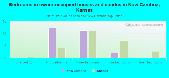 Bedrooms in owner-occupied houses and condos in New Cambria, Kansas