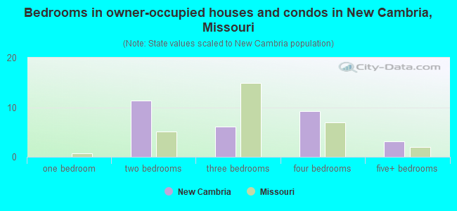 Bedrooms in owner-occupied houses and condos in New Cambria, Missouri