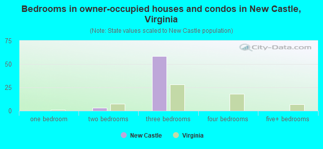 Bedrooms in owner-occupied houses and condos in New Castle, Virginia