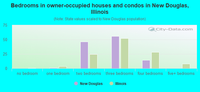 Bedrooms in owner-occupied houses and condos in New Douglas, Illinois