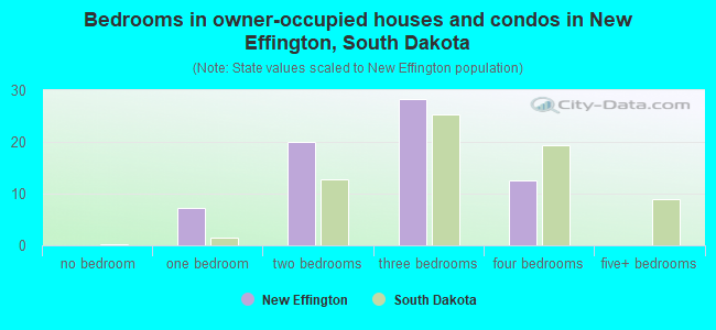 Bedrooms in owner-occupied houses and condos in New Effington, South Dakota