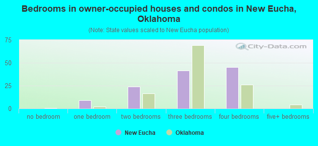 Bedrooms in owner-occupied houses and condos in New Eucha, Oklahoma