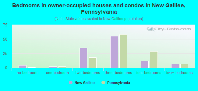 Bedrooms in owner-occupied houses and condos in New Galilee, Pennsylvania