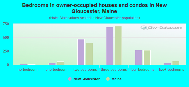 Bedrooms in owner-occupied houses and condos in New Gloucester, Maine