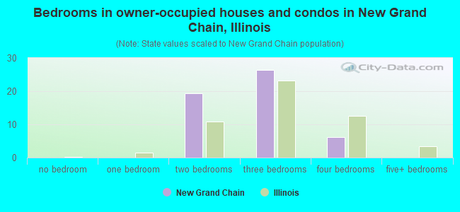 Bedrooms in owner-occupied houses and condos in New Grand Chain, Illinois