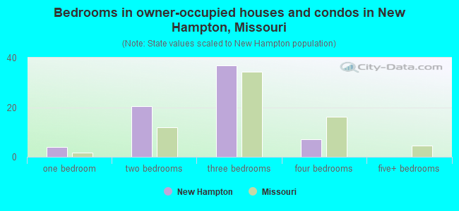Bedrooms in owner-occupied houses and condos in New Hampton, Missouri