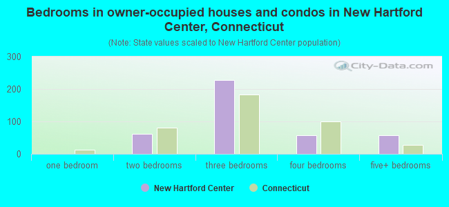 Bedrooms in owner-occupied houses and condos in New Hartford Center, Connecticut