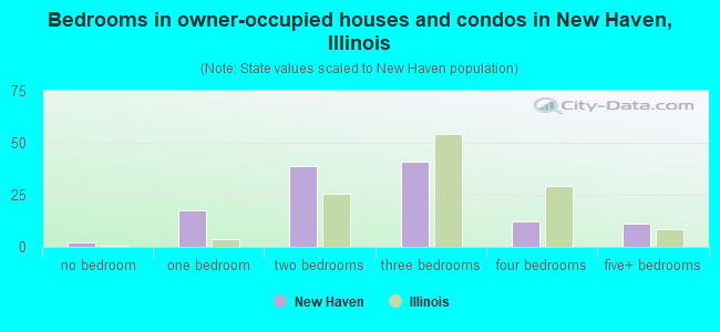 Bedrooms in owner-occupied houses and condos in New Haven, Illinois