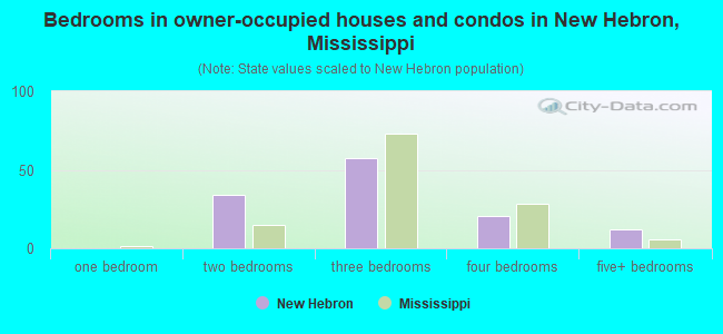 Bedrooms in owner-occupied houses and condos in New Hebron, Mississippi