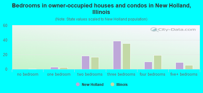 Bedrooms in owner-occupied houses and condos in New Holland, Illinois