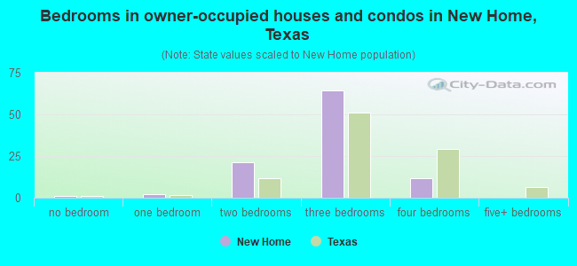 Bedrooms in owner-occupied houses and condos in New Home, Texas