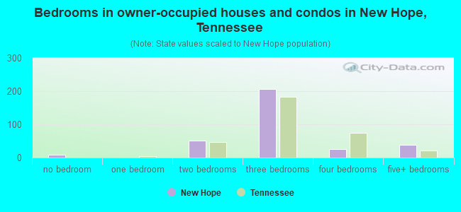 Bedrooms in owner-occupied houses and condos in New Hope, Tennessee