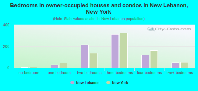 Bedrooms in owner-occupied houses and condos in New Lebanon, New York