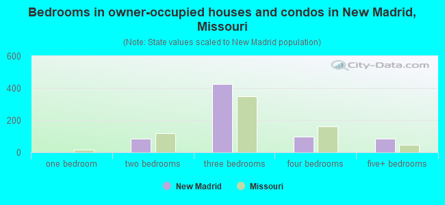 Bedrooms in owner-occupied houses and condos in New Madrid, Missouri