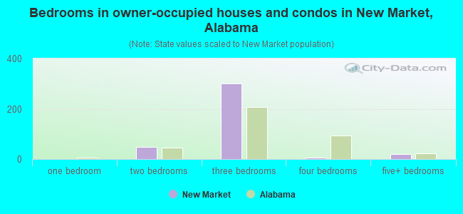 Bedrooms in owner-occupied houses and condos in New Market, Alabama