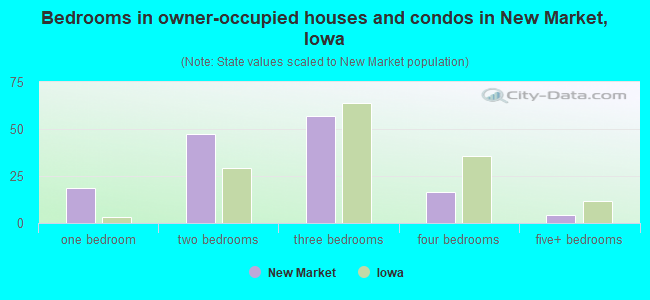 Bedrooms in owner-occupied houses and condos in New Market, Iowa