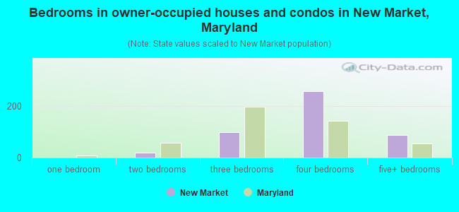 Bedrooms in owner-occupied houses and condos in New Market, Maryland