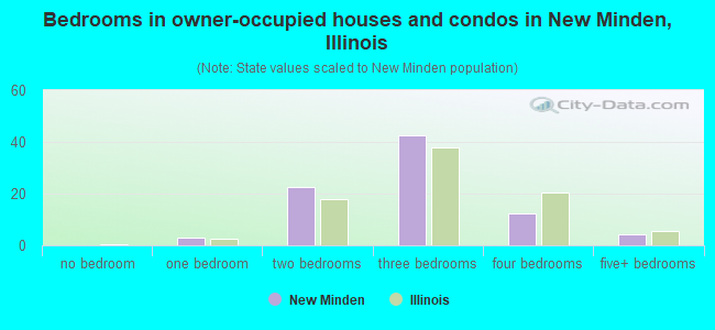 Bedrooms in owner-occupied houses and condos in New Minden, Illinois