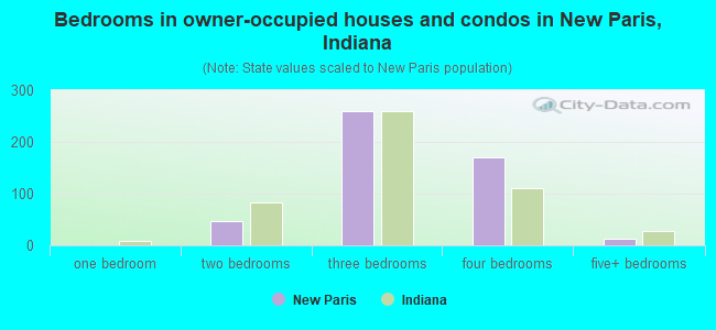 Bedrooms in owner-occupied houses and condos in New Paris, Indiana