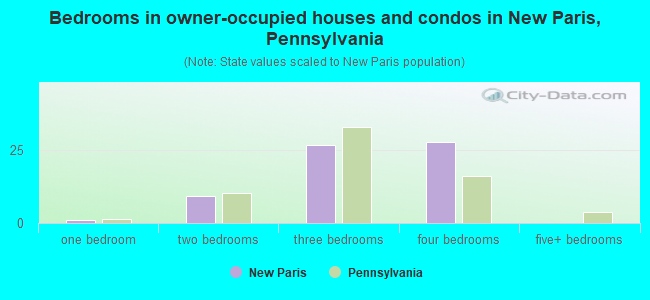 Bedrooms in owner-occupied houses and condos in New Paris, Pennsylvania