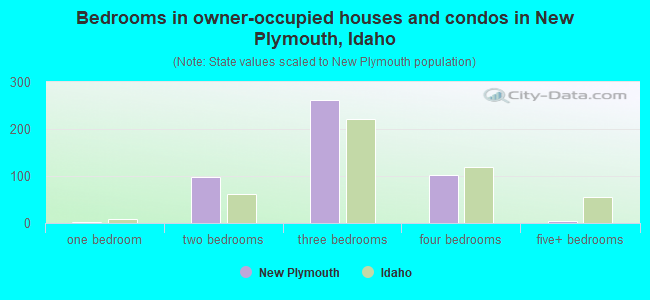 Bedrooms in owner-occupied houses and condos in New Plymouth, Idaho