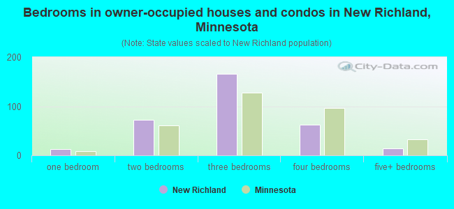 Bedrooms in owner-occupied houses and condos in New Richland, Minnesota