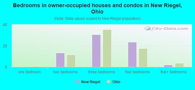 Bedrooms in owner-occupied houses and condos in New Riegel, Ohio