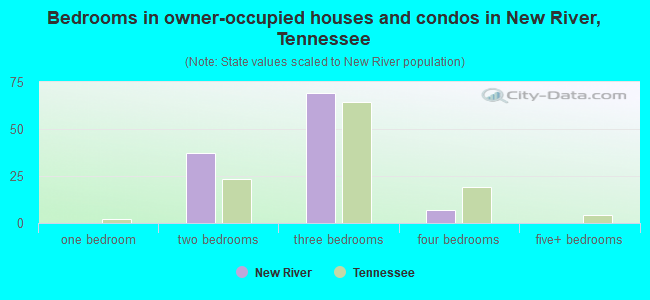Bedrooms in owner-occupied houses and condos in New River, Tennessee