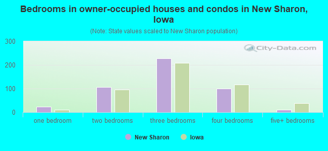 Bedrooms in owner-occupied houses and condos in New Sharon, Iowa