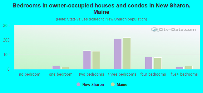 Bedrooms in owner-occupied houses and condos in New Sharon, Maine