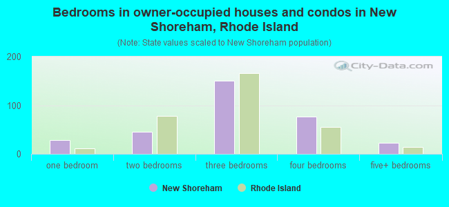 Bedrooms in owner-occupied houses and condos in New Shoreham, Rhode Island