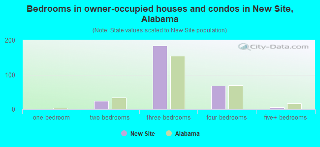 Bedrooms in owner-occupied houses and condos in New Site, Alabama