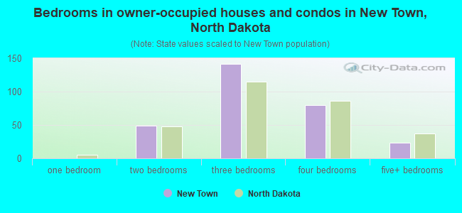 Bedrooms in owner-occupied houses and condos in New Town, North Dakota