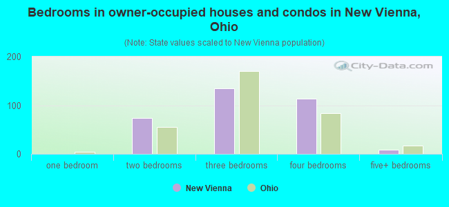 Bedrooms in owner-occupied houses and condos in New Vienna, Ohio