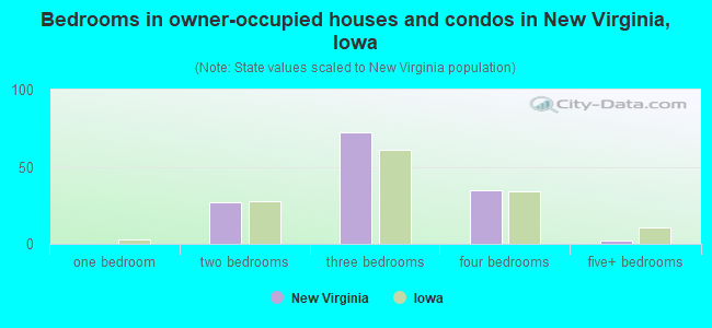 Bedrooms in owner-occupied houses and condos in New Virginia, Iowa