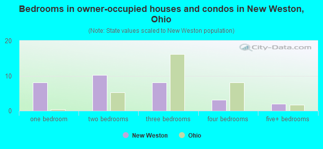 Bedrooms in owner-occupied houses and condos in New Weston, Ohio