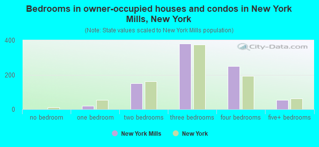 Bedrooms in owner-occupied houses and condos in New York Mills, New York