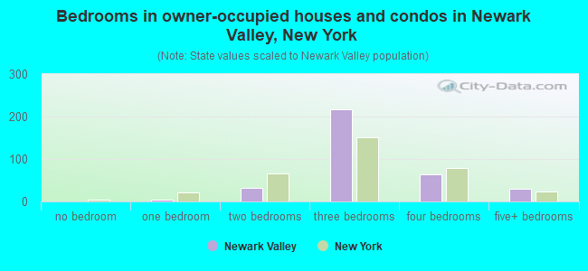 Bedrooms in owner-occupied houses and condos in Newark Valley, New York