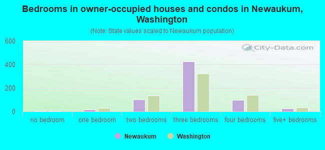 Bedrooms in owner-occupied houses and condos in Newaukum, Washington