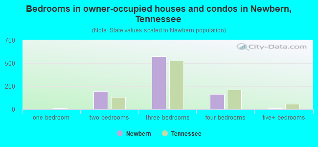 Bedrooms in owner-occupied houses and condos in Newbern, Tennessee