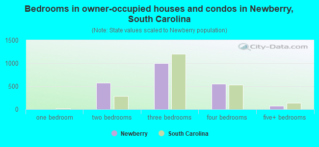 Bedrooms in owner-occupied houses and condos in Newberry, South Carolina