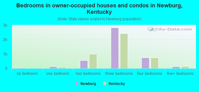 Bedrooms in owner-occupied houses and condos in Newburg, Kentucky