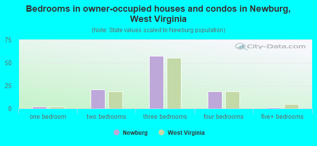 Bedrooms in owner-occupied houses and condos in Newburg, West Virginia
