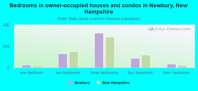Bedrooms in owner-occupied houses and condos in Newbury, New Hampshire